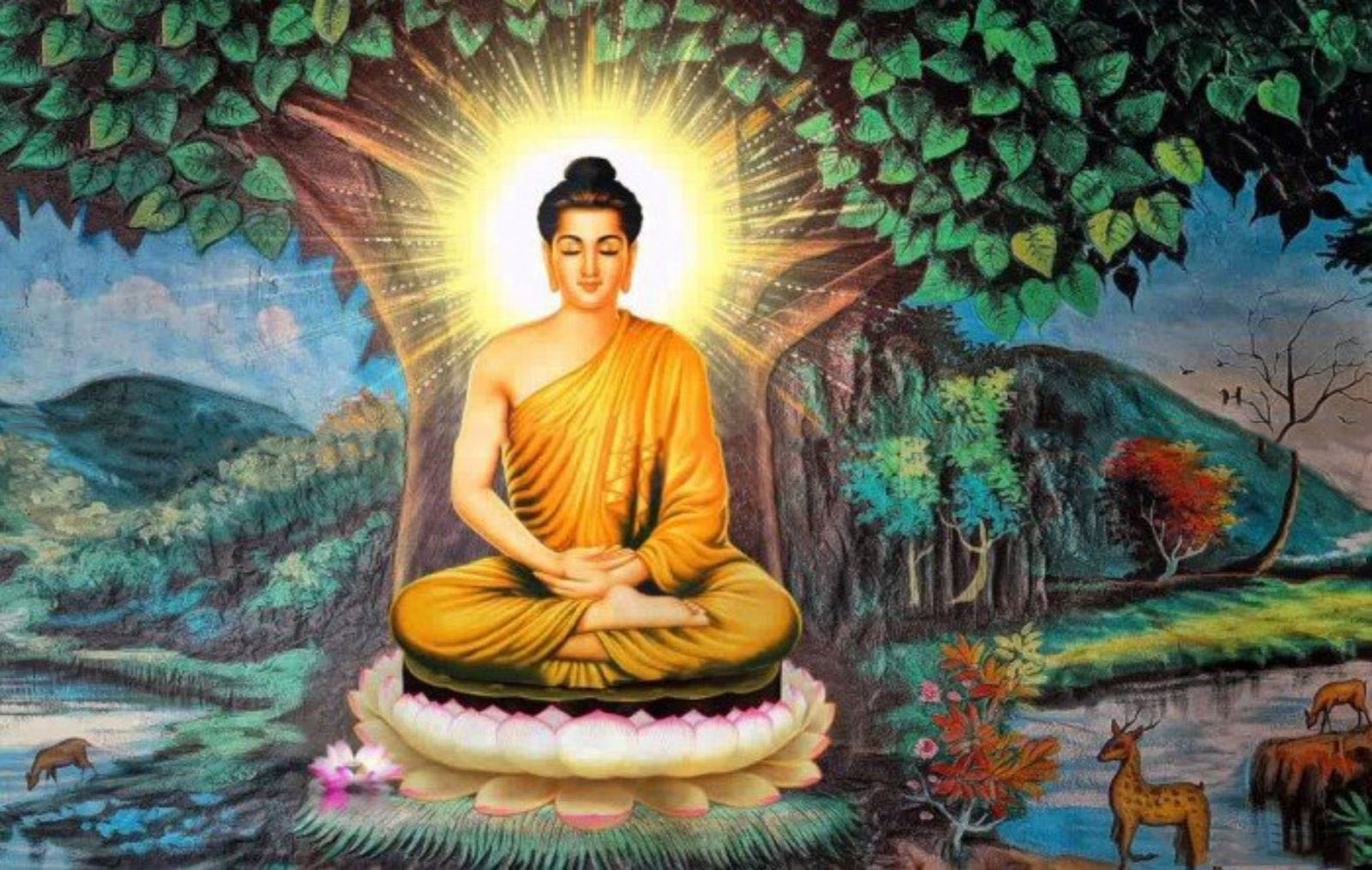 Sự tích Phật Thích Ca Mâu Ni