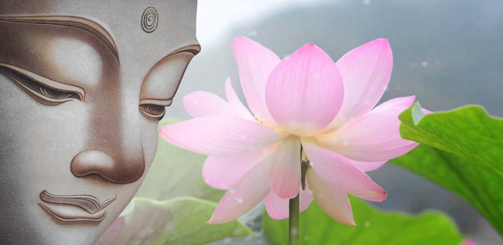 Hình ảnh hoa sen mang nhiều ý nghĩa trong Phật Giáo